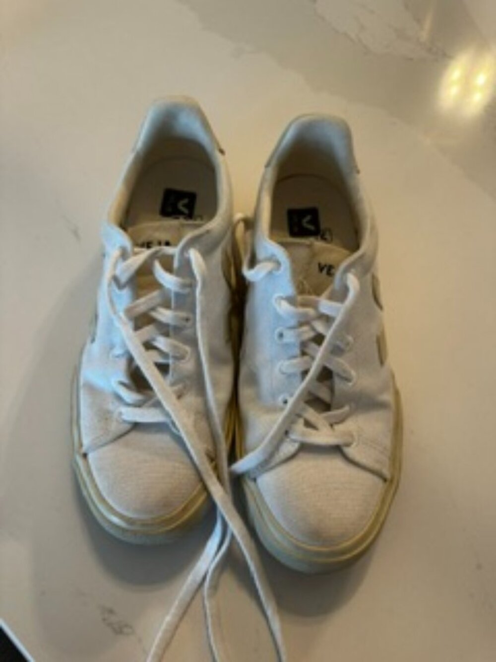 Veja Canvas Sneakers